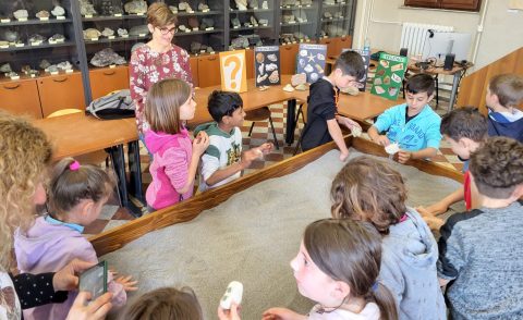 Una catino rettangolare con ella sabbia dove sono nascosti dei fossili chei bambini presenti cercheranno e descriveranno